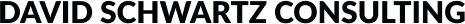 David Schwartz Consulting logo
